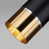  - Подвесной светильник Elektrostandard DLN107 GU10 черный/золото 4690389148620