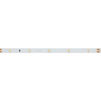  - Лента RT 2-5000 24V Cool 8K 0.5x (3528, 150 LED, LUX) (Arlight, 2.9 Вт/м, IP20)