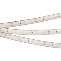 Лента RTW 2-5000PS 12V White6000 (3528, 300 LED, LUX) (Arlight, 4.8 Вт/м, IP67)