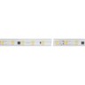 Лента ARL-50000PV-5060-54-230V White6000 (15mm, 8W, IP65) (Arlight, 8 Вт/м, IP65) - Лента ARL-50000PV-5060-54-230V White6000 (15mm, 8W, IP65) (Arlight, 8 Вт/м, IP65)