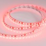 Лента RT 2-5000 12V Red 2x (3528, 600 LED, LUX) (Arlight, 9.6 Вт/м, IP20) - Лента RT 2-5000 12V Red 2x (3528, 600 LED, LUX) (Arlight, 9.6 Вт/м, IP20)