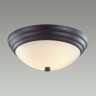 Настенно-потолочный Lumion Kayla 5263/2C - Настенно-потолочный Lumion Kayla 5263/2C