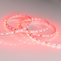  - Лента RT 2-5000 24V Red 2x (5060, 300 LED, LUX) (Arlight, 14.4 Вт/м, IP20)