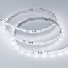 Лента RT-10000 24V White6000 (3528, 60 LED/m, 10m) (Arlight, 4.8 Вт/м, IP20) - Лента RT-10000 24V White6000 (3528, 60 LED/m, 10m) (Arlight, 4.8 Вт/м, IP20)