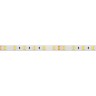 Лента RTW 2-5000SE 24V Yellow 2x (5060, 300 LED, LUX) (Arlight, 14.4 Вт/м, IP65) - Лента RTW 2-5000SE 24V Yellow 2x (5060, 300 LED, LUX) (Arlight, 14.4 Вт/м, IP65)