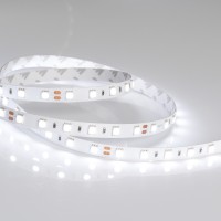  - Лента RTW 2-5000NC 24V White6000 2x (5060, 300 LED, LUX) (Arlight, 14.4 Вт/м, IP65)