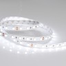 Лента RTW 2-5000NC 24V White6000 2x (5060, 300 LED, LUX) (Arlight, 14.4 Вт/м, IP65) - Лента RTW 2-5000NC 24V White6000 2x (5060, 300 LED, LUX) (Arlight, 14.4 Вт/м, IP65)