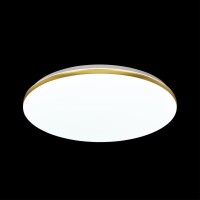  - Настенно-потолочный светодиодный светильник Sonex Lassa 3043/DL