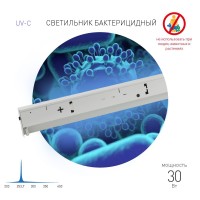  - Ультрафиолетовый бактерицидный светодиодный светильник ЭРА ОБН01-30-012 Фотон Б0048261