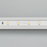 Лента RT 2-5000-50m 24V Warm2700 (3528, 60 LED/m, LUX) (Arlight, 4.8 Вт/м, IP20) - Лента RT 2-5000-50m 24V Warm2700 (3528, 60 LED/m, LUX) (Arlight, 4.8 Вт/м, IP20)