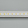 Лента RT 2-5000 24V White5500 (2835, 80 LED/m, LUX) (Arlight, 6 Вт/м, IP20) - Лента RT 2-5000 24V White5500 (2835, 80 LED/m, LUX) (Arlight, 6 Вт/м, IP20)