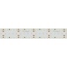 Лента S2-2500 24V White 6000K 34mm (2835, 280 LED/m, LUX) (Arlight, 25 Вт/м, IP20) - Лента S2-2500 24V White 6000K 34mm (2835, 280 LED/m, LUX) (Arlight, 25 Вт/м, IP20)