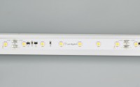  - Лента RT-20000 24V Warm3000 (3528, 60 LED/m, 20m) (Arlight, 4.8 Вт/м, IP20)