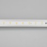 Лента IC 2-30000 24V White6000 10mm (2835, 60 LED/m, LUX) (Arlight, 4.6 Вт/м, IP20) - Лента IC 2-30000 24V White6000 10mm (2835, 60 LED/m, LUX) (Arlight, 4.6 Вт/м, IP20)