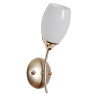 Бра MW-Light Олимпия 638026601 - Бра MW-Light Олимпия 638026601