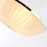 Потолочный светильник F-Promo Costa 2753-3C - Потолочный светильник F-Promo Costa 2753-3C
