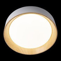 - Потолочный светодиодный светильник Loft IT Coin 10202 White