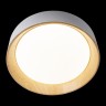 Потолочный светодиодный светильник Loft IT Coin 10202 White - Потолочный светодиодный светильник Loft IT Coin 10202 White