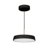 Светильник SP-ELEGANT-R300-17W Day4000 (BK, 120 deg, 230V) (Arlight, IP20 Металл, 3 года) - Светильник SP-ELEGANT-R300-17W Day4000 (BK, 120 deg, 230V) (Arlight, IP20 Металл, 3 года)