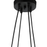 Подвесная люстра Lumien Hall Нерей 4001/4P-BK-GD - Подвесная люстра Lumien Hall Нерей 4001/4P-BK-GD