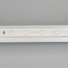 Лента RTW 2-5000PS-50m 24V Day4000 (3528, 60 LED/m, LUX) (Arlight, 4.8 Вт/м, IP67) - Лента RTW 2-5000PS-50m 24V Day4000 (3528, 60 LED/m, LUX) (Arlight, 4.8 Вт/м, IP67)