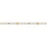 Лента RT 2-5000 24V Warm2700 1.6x (2835, 490 LED, PRO) (Arlight, 10 Вт/м, IP20) - Лента RT 2-5000 24V Warm2700 1.6x (2835, 490 LED, PRO) (Arlight, 10 Вт/м, IP20)