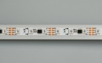  - Лента SPI-5000-5060-60 12V Cx3 RGB-Auto (10mm, 13.2W/m, IP20) (Arlight, Открытый, IP20)