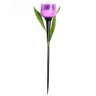 Светильник на солнечных батареях Uniel Promo USL-C-453/PT305 Purple Tulip UL-00004278 - Светильник на солнечных батареях Uniel Promo USL-C-453/PT305 Purple Tulip UL-00004278
