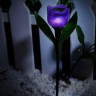 Светильник на солнечных батареях Uniel Promo USL-C-453/PT305 Purple Tulip UL-00004278 - Светильник на солнечных батареях Uniel Promo USL-C-453/PT305 Purple Tulip UL-00004278