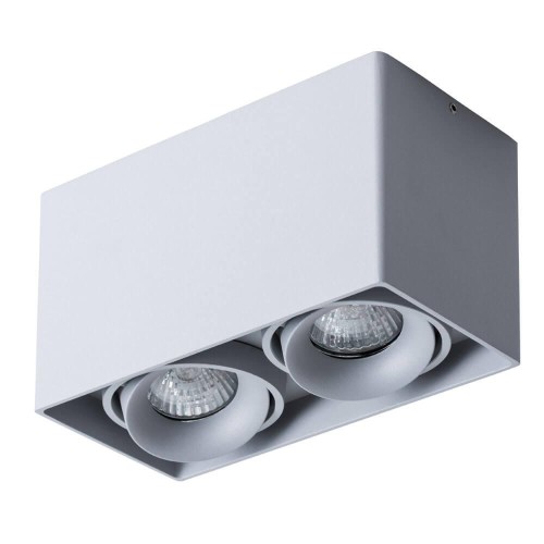 Потолочный светильник Arte Lamp Pictor A5654PL-2GY 