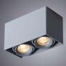 Потолочный светильник Arte Lamp Pictor A5654PL-2GY - Потолочный светильник Arte Lamp Pictor A5654PL-2GY