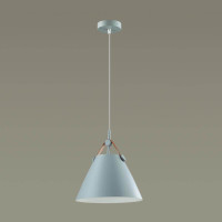  - Подвесной светильник Lumion Darren 3721/1