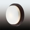 Потолочный светильник Odeon Light Holger 2744/1C - Потолочный светильник Odeon Light Holger 2744/1C