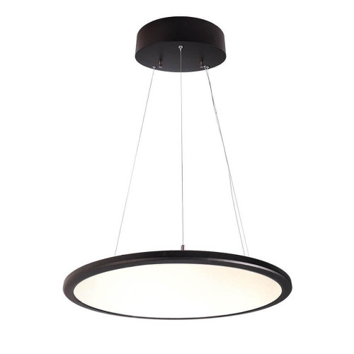 Подвесной светильник Deko-Light LED Panel transparent round 342089 