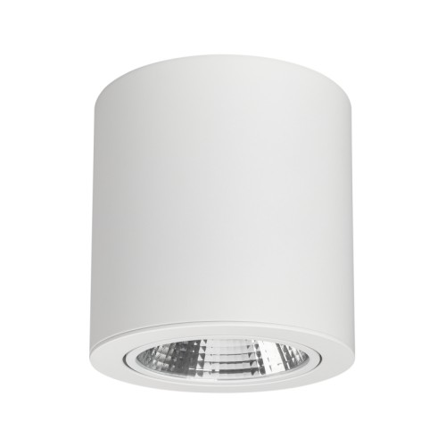 Светильник SP-FOCUS-R140-30W Day White (Arlight, IP20 Металл, 3 года) Накладной светильник 30Вт, белый корпус цилиндр. Цвет ДНЕВНОЙ БЕЛЫЙ 4000K, св.поток 2400-2700лм, CRI(Ra)>80, наклоняемая ось, угол 24°. Размер Ф140x140 мм. Питание AC 180-240V, 30Вт, встроенный драйвер (DC 700mA 26-43V).