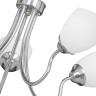 Потолочная люстра Vitaluce V3581/5PL - Потолочная люстра Vitaluce V3581/5PL