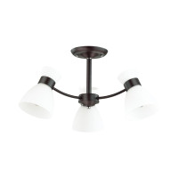  - Потолочная люстра Lumion Wilma 4534/3C
