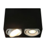 Потолочный светильник Arte Lamp A5655PL-2BK - Потолочный светильник Arte Lamp A5655PL-2BK