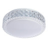 Потолочный светодиодный светильник Arte Lamp Celeste A1568PL-1CL - Потолочный светодиодный светильник Arte Lamp Celeste A1568PL-1CL