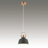 Подвесной светильник Odeon Light Sert 3325/1 - Подвесной светильник Odeon Light Sert 3325/1