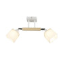 Потолочный светильник Wedo Light Lion 66770.01.09.02 - Потолочный светильник Wedo Light Lion 66770.01.09.02