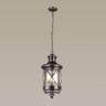 Уличный подвесной светильник Odeon Light Sation 4045/3 - Уличный подвесной светильник Odeon Light Sation 4045/3