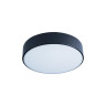 Потолочный светодиодный светильник Loft IT Axel 10002/12 black - Потолочный светодиодный светильник Loft IT Axel 10002/12 black