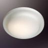 Потолочный светильник Odeon Light Tavoty 2760/2C - Потолочный светильник Odeon Light Tavoty 2760/2C