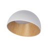 Потолочный светодиодный светильник Loft IT Egg 10197/350 White - Потолочный светодиодный светильник Loft IT Egg 10197/350 White
