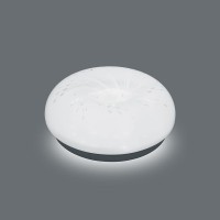  - Потолочный светодиодный светильник Feron Botanic AL772 41740