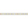 Лента RTW 2-5000PGS 24V White 2x (5060, 300 LED, LUX) (Arlight, 14.4 Вт/м, IP67) - Лента RTW 2-5000PGS 24V White 2x (5060, 300 LED, LUX) (Arlight, 14.4 Вт/м, IP67)