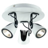 Спот Lussole Loft LSN-4101-03 - Спот Lussole Loft LSN-4101-03