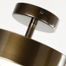 Потолочный светильник F-Promo Atma 3060-2P - Потолочный светильник F-Promo Atma 3060-2P