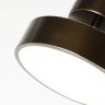 Потолочный светильник F-Promo Atma 3060-2P - Потолочный светильник F-Promo Atma 3060-2P
